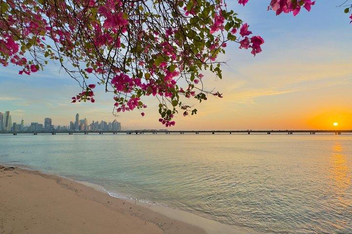 Half Day Panama City & Panama Canal Tour