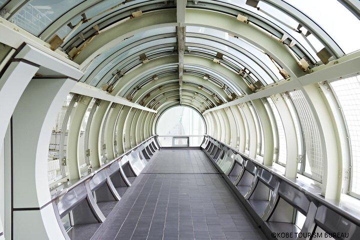 Himeji Castle and Akashi Kaikyo Bridge Walking Tour from Himeji