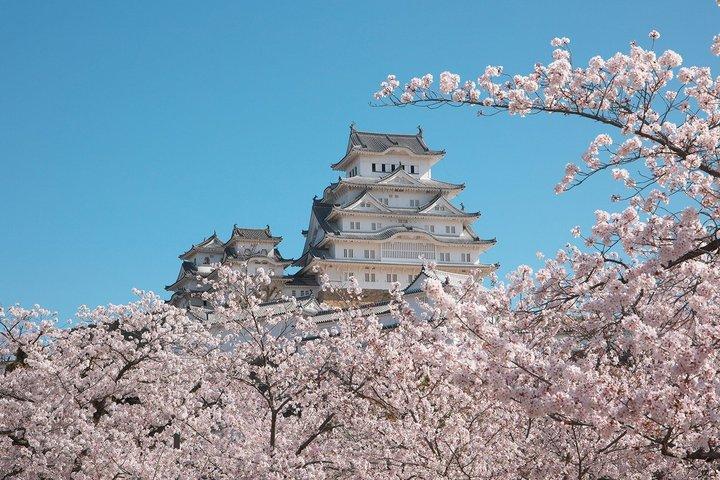 Himeji Castle and Akashi Kaikyo Bridge Walking Tour from Himeji